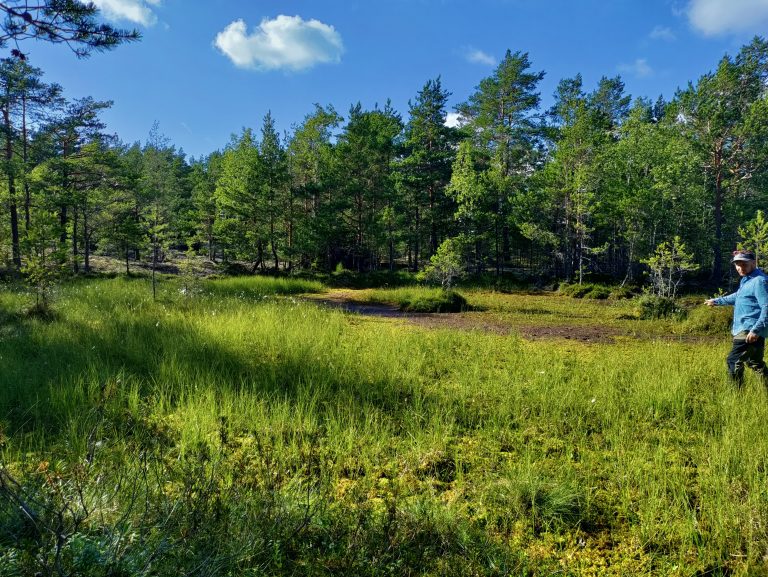 metsänhoitaja, paikallistalouksien tukemiseen