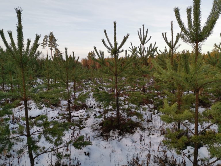 Suojelu, Ympäristötukityöt